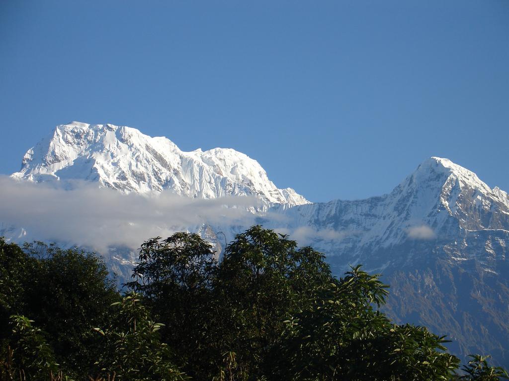 The North Face Inn Pokhara Eksteriør billede